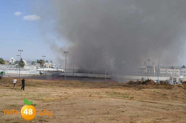 fireramlasejn4288 (31).JPG